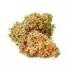 Buy Godfather OG Strain Online