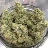 OG Kush Strain